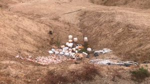 В Приамурье местные жители обнаружили свалку красной икры
