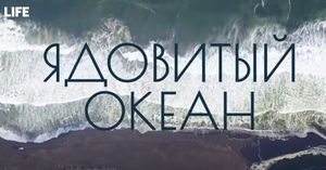 
Документальный фильм Лайфа "Ядовитый океан" стал лауреатом премии "ТЭФИ-Мультимедиа"