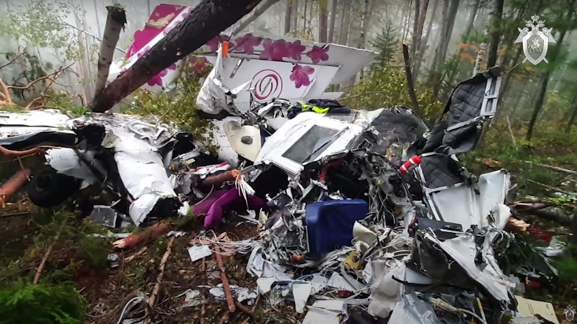 Уругвай авиакатастрофа. Катастрофа l-410 в Иркутской области. L410 самолет крушение под Иркутском.