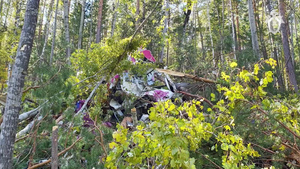 В Минздраве рассказали о состоянии пострадавших при крушении L-410 в Иркутской области