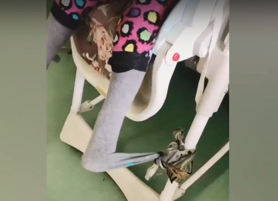 СК завёл дело из-за видео с привязанным к стулу в больнице сиротой. Фото © Соцсети