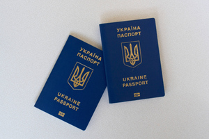 Премьер Украины поддержал идею двойного гражданства, но не с Россией