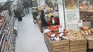 В Москве "три подруги Оушена" украли из супермаркета шампанское на 32 тысячи рублей