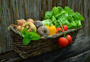 Биолог Михасенок перечислила овощи и зелень, которые можно вырастить в квартире