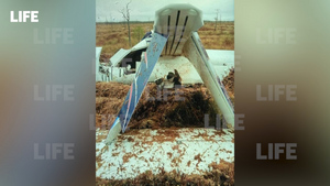 Лайф публикует первые фотографии с места падения гидросамолёта в болото в ХМАО