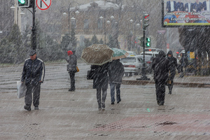 "Символический зимний привет": Метеоролог предупредил о мокром снеге в ряде регионов Центральной России