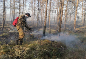Абрамченко: Причиной более 66% лесных пожаров является антропогенный фактор