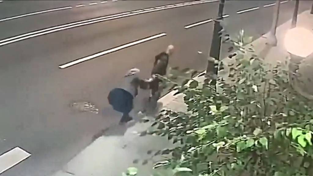 В Москве 70-летняя старушка отбилась от грабителя, который пытался вырвать у неё сумку