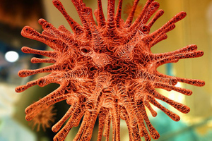 "Выскочит откуда-то из-за спины у "дельты": Знаменитый вирусолог оценил появление суперштамма коронавируса