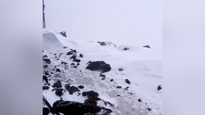 "Прогноз не очень": Гид застрявших на Эльбрусе альпинистов записал видео с метелью перед трагедией