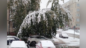 Кемерово и Новосибирск засыпал первый снег
