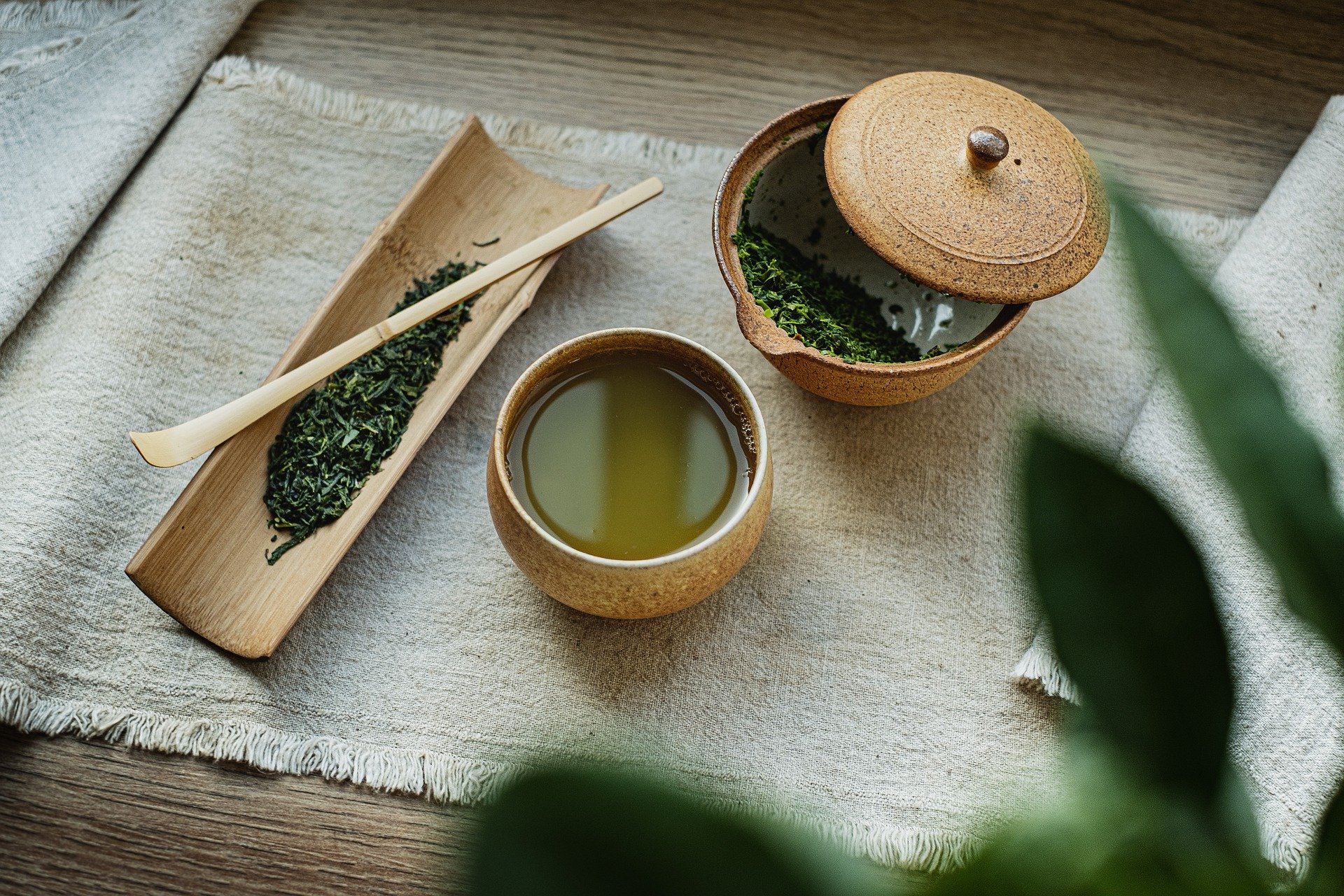 Японский учёный заявил о пользе зелёного чая для защиты от рака