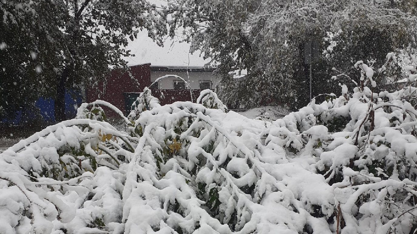 В новгороде выпал снег. Снегопад в Кемерово. Снегопад в Гузерипле. Засыпает первый снег. Снег в капьяре.