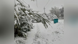 Последствия снегопада в Кемерове. Фото © Соцсети