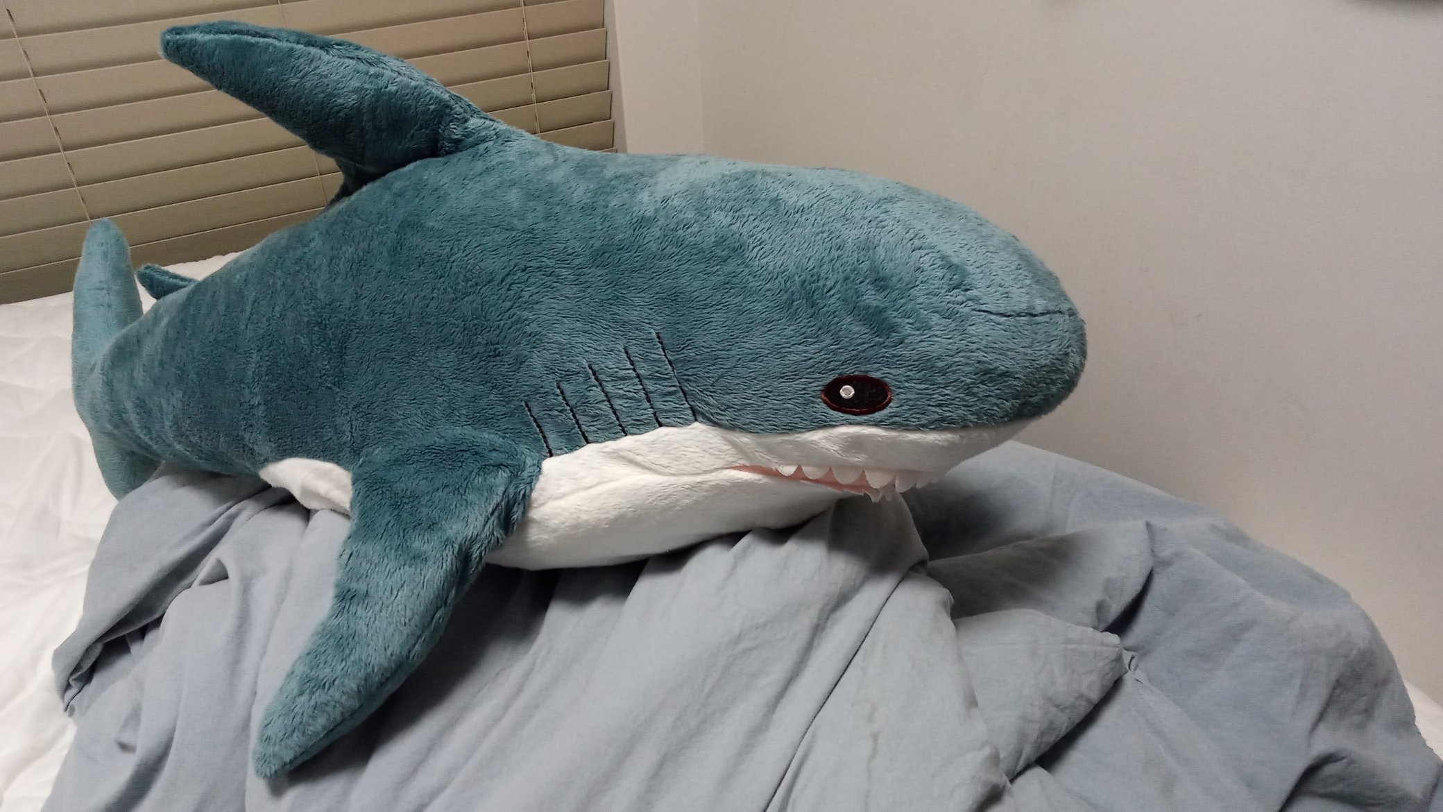 IKEA перестанет выпускать знаменитую синюю акулу Blahaj