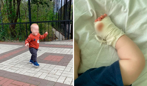 Стало известно о состоянии малыша, которому тигр откусил палец в крымском сафари-парке