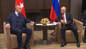 Путин заявил, что Россия и Турция научились находить компромиссы