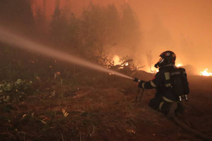 Путин в Благовещенске вручил награды за отвагу в борьбе с лесными пожарами и паводками