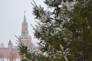 Синоптик раскрыл, когда в Москве выпадет снег