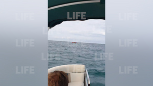 Лайф публикует видео с места "приземления" воздушного шара в открытое море в Сочи
