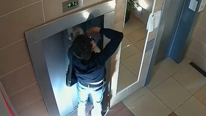 Зажатый лифтом поводок едва не задушил собаку в многоэтажке, но её чудом спас очевидец