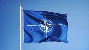 СМИ: Вашингтон считает Украину де-факто членом НАТО