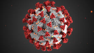 Учёные нашли "прадедушку" коронавируса