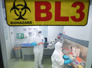Раскрыто американское финансирование коронавирусных лабораторий в Китае