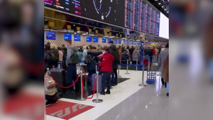 В аэропортах Москвы отменили 87 рейсов