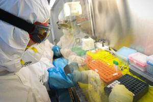 Project Veritas: Компания из США изучала коронавирусы в Ухани до начала пандемии