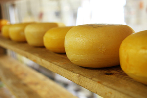 Диетолог Бобровский рассказал, к каким болезням может привести злоупотребление сыром