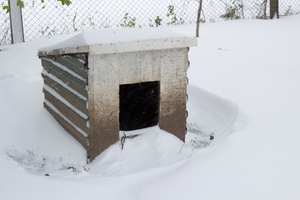 Пропавшую на Сахалине во время снежного циклона девочку нашли в собачьей будке