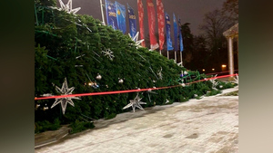 В Ростове-на-Дону сняли на видео падение главной ёлки города