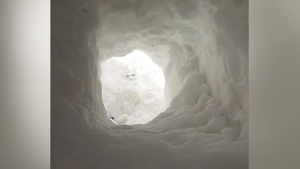 Сахалинец выкопал многометровый лаз в снегу, чтобы поймать Интернет