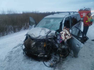 Видеорегистратор снял момент ДТП с тремя погибшими в Новосибирской области
