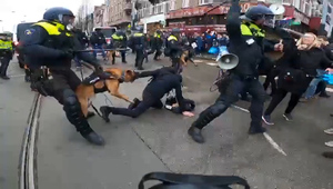 "Хаос на улицах": В Амстердаме полиция натравила собак на демонстрантов, выступивших против локдауна