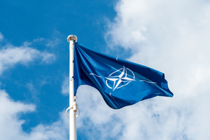 Американский аналитик Пайн счёл возможным исключение стран Балтии из НАТО в угоду России