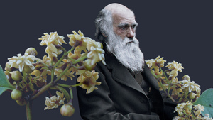 Кошмар Дарвина: Удивительная находка в Китае помогла раскрыть "отвратительную тайну" эволюции