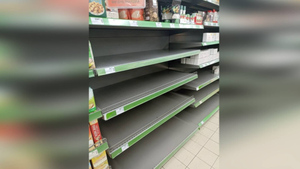 Депутат Рады Гончаренко показал пустые полки в магазинах после речи Зеленского