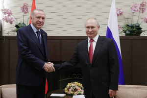 Песков: В графике Путина пока не запланированы переговоры с Эрдоганом