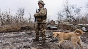В ДНР рассказали о подготовке Украины к наступлению — переброске оружия и боевиков