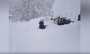 Метровые сугробы, застрявшие авто: Жители Краснодарского края делятся кадрами последствий мощнейшего снегопада