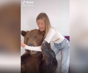 Блогерша Лера Изумруд завела живого медведя в квартире ради роликов в TikTok