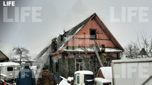 В частном приюте в Псковской области заживо сгорели 50 кошек