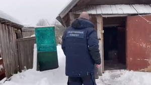 Нашли куртку и шапку: СКР показал видео из дома, откуда пропала годовалая девочка в Новгородской области