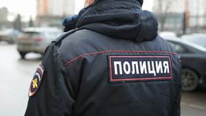 Адвокат: Мать убитой в Костроме девочки признали потерпевшей по делу о халатности полиции