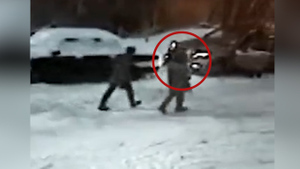 Опубликовано видео с похитителями и убийцами пятилетней девочки в Костроме