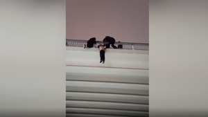 Спасение повисшего на мосту полуголого мужчины в Тюмени сняли на видео