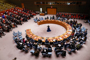 Индия и Китай отказались осуждать референдумы при голосовании в Совбезе ООН