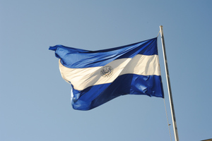 В Нидерландах отреагировали на решение Никарагуа о разрыве дипотношений